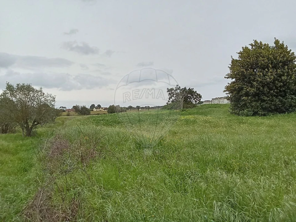 Terreno para Venda em Vale da Pedra Foto 3
