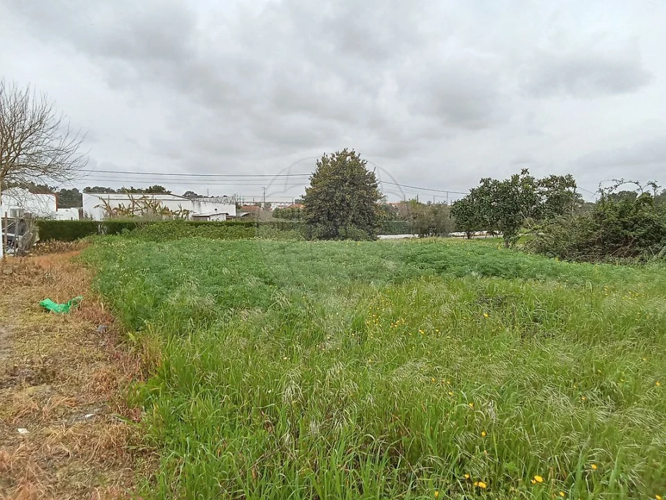 Terreno para Venda em Vale da Pedra Foto 9