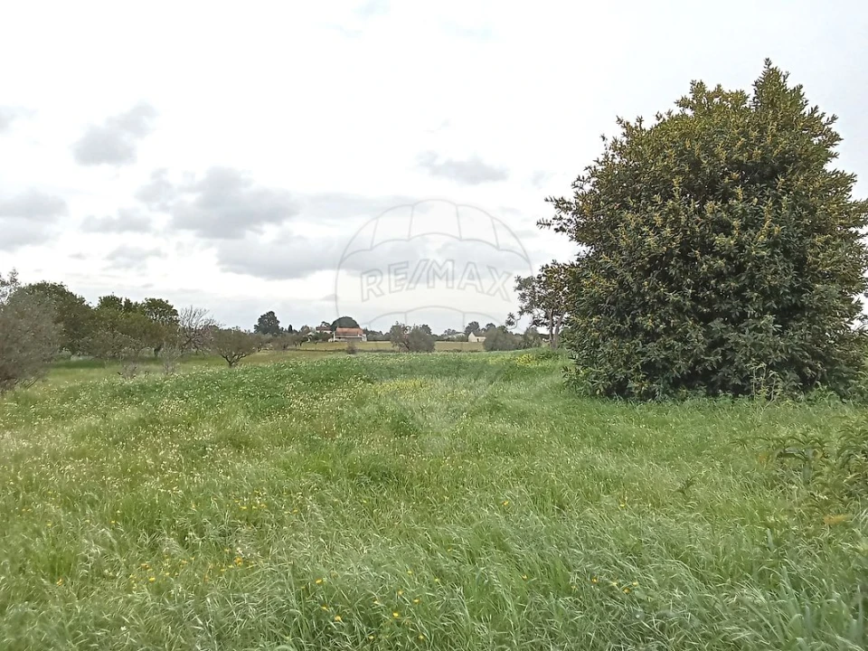Terreno para Venda em Vale da Pedra Foto 1