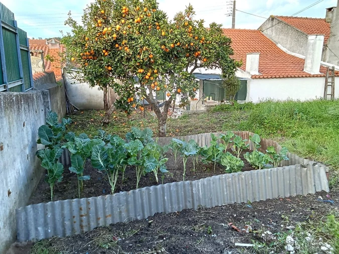 Moradia T1 para Venda em Vale de Santarem Foto 23