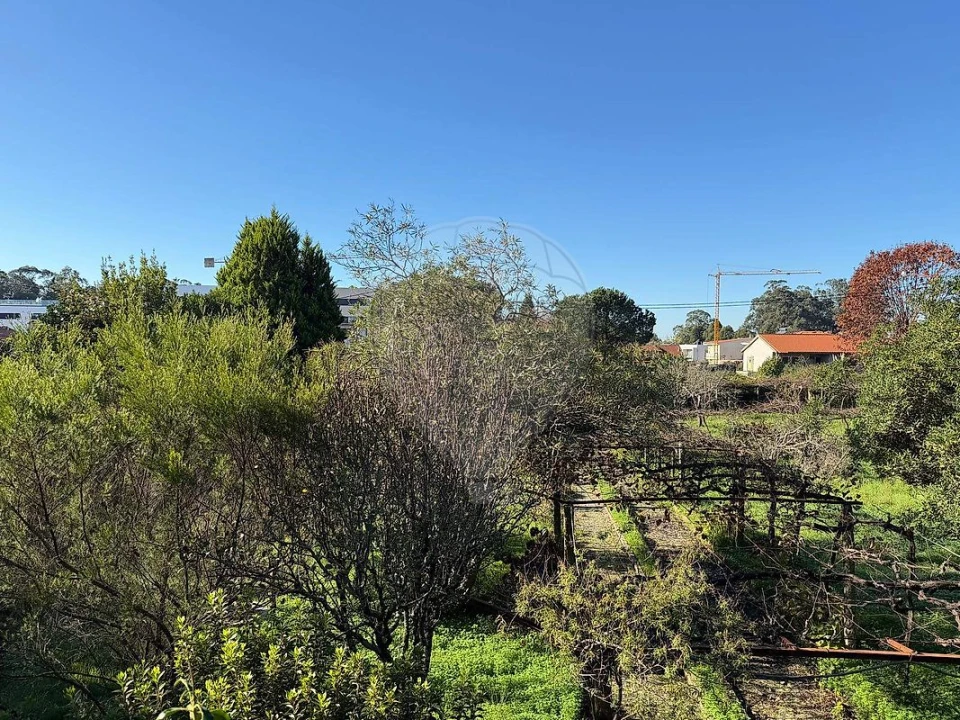Terreno para Venda em Moreira Foto 4