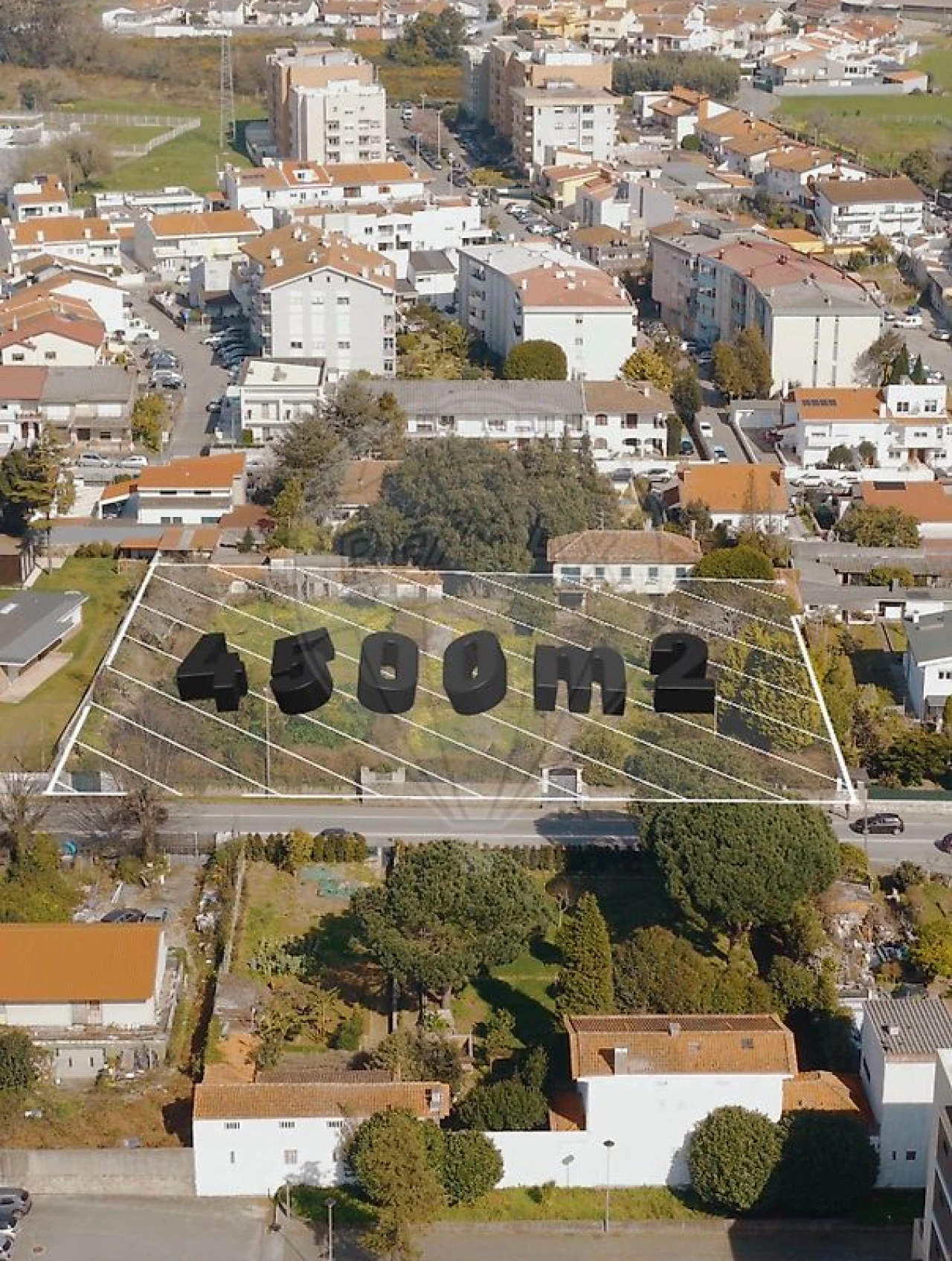 Terreno para Venda em Moreira Foto 6