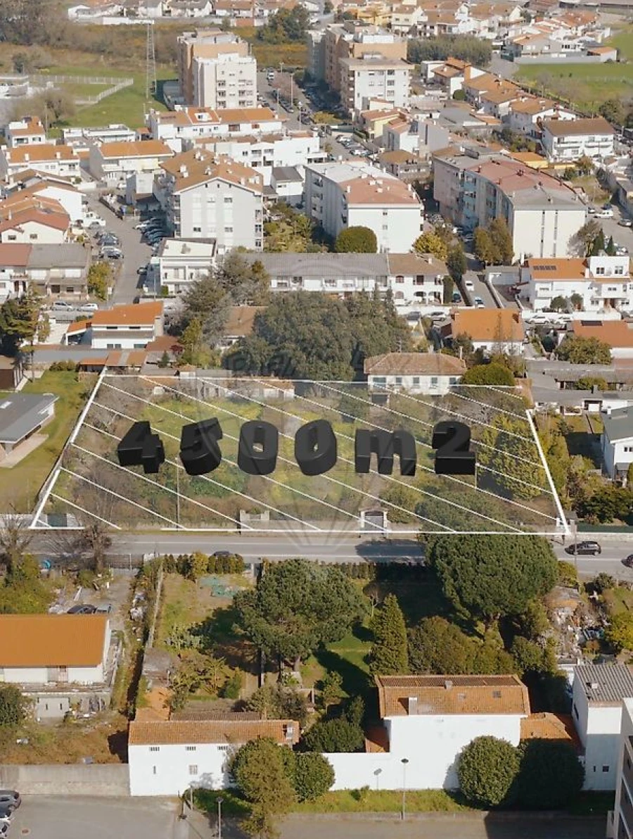 Terreno para Venda em Moreira Foto 6