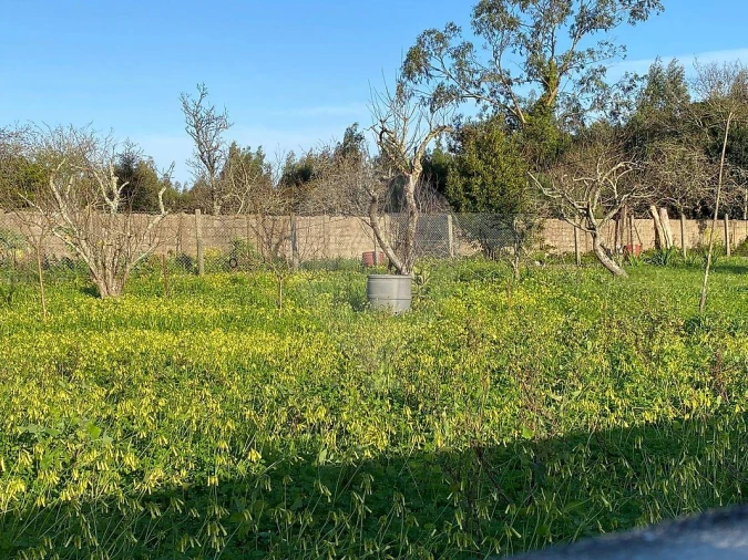 Terreno para Venda em Serzedo e Perosinho Foto 3