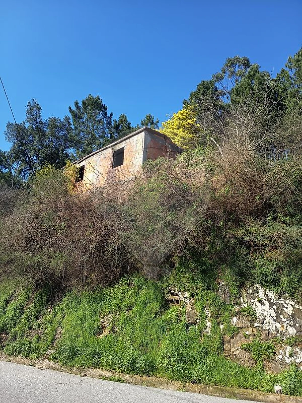 Moradia T1 para Venda em Teixeira e Teixeiró Foto 7