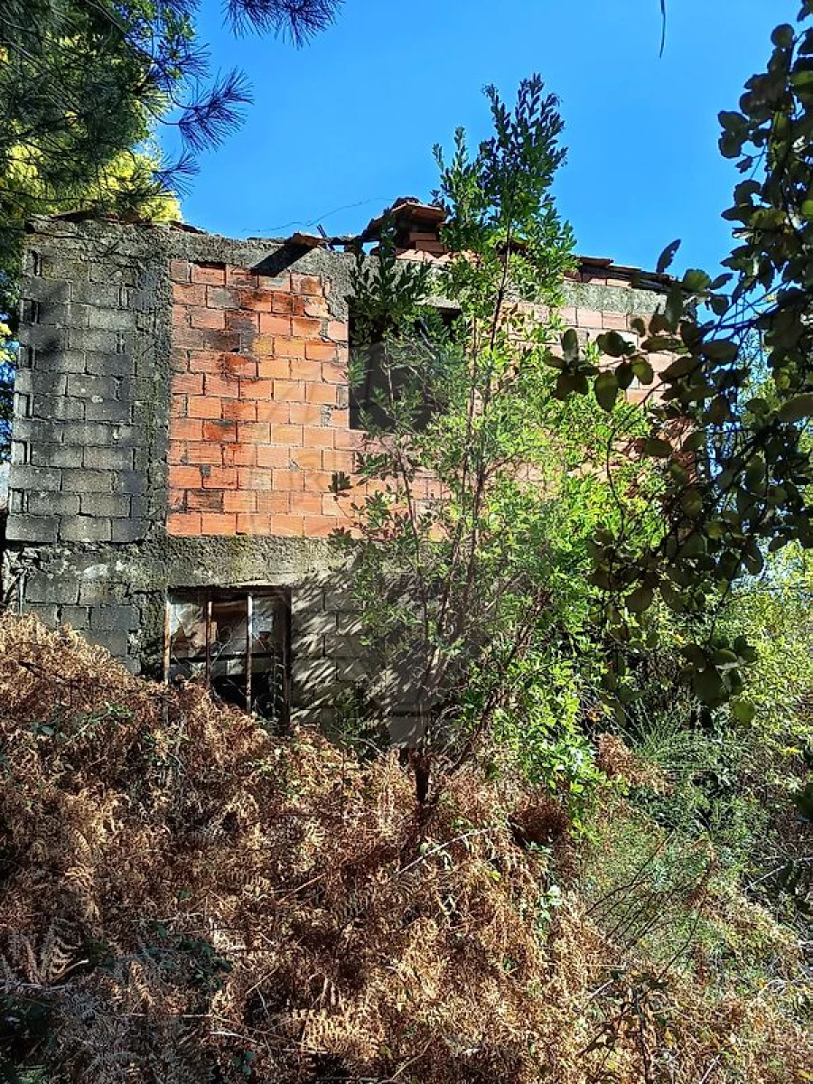 Moradia T1 para Venda em Teixeira e Teixeiró Foto 4