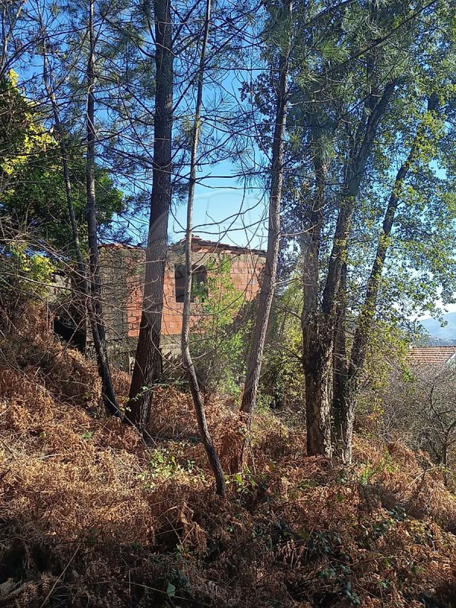 Moradia T1 para Venda em Teixeira e Teixeiró Foto 5