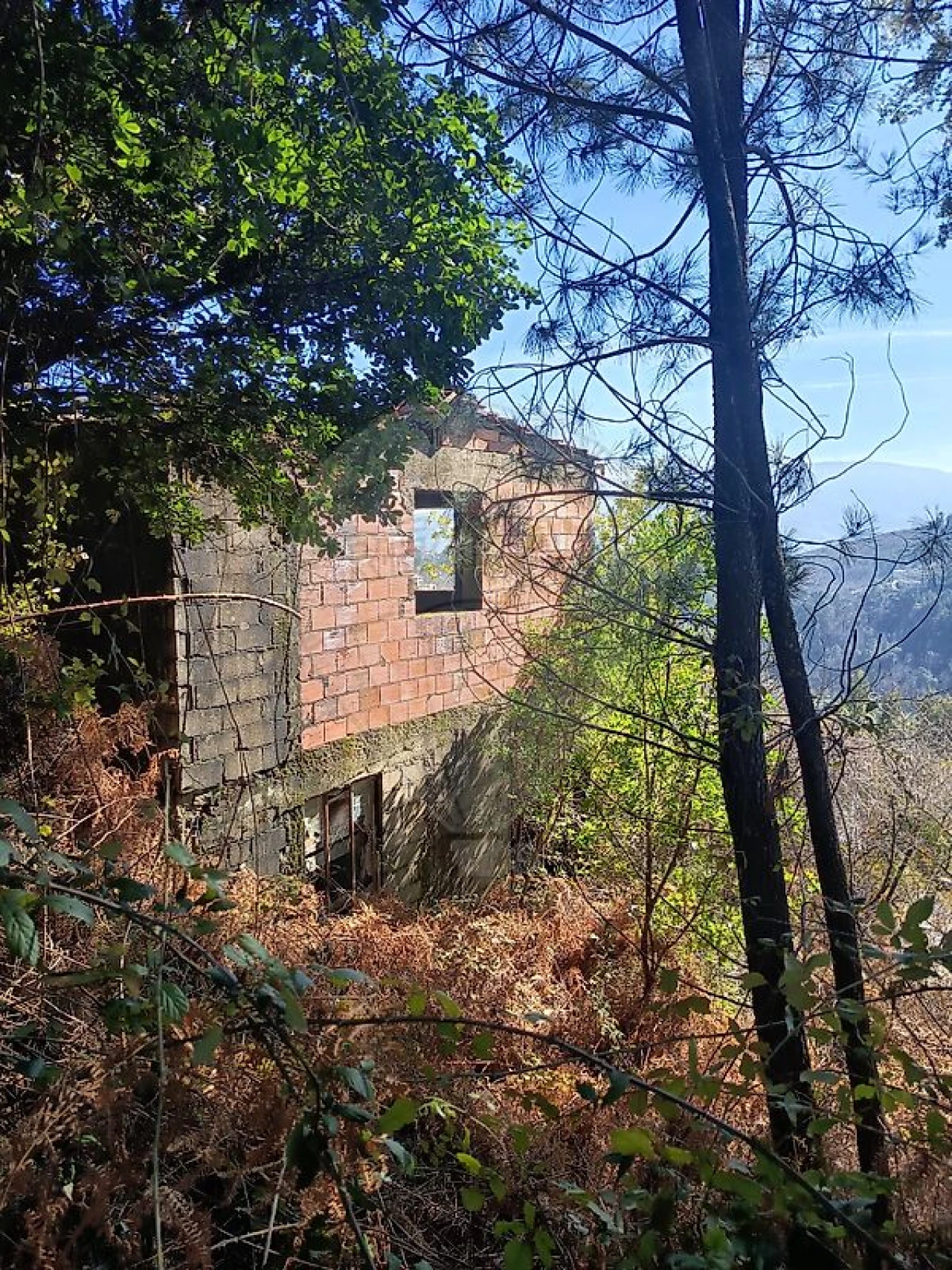 Moradia T1 para Venda em Teixeira e Teixeiró Foto 3