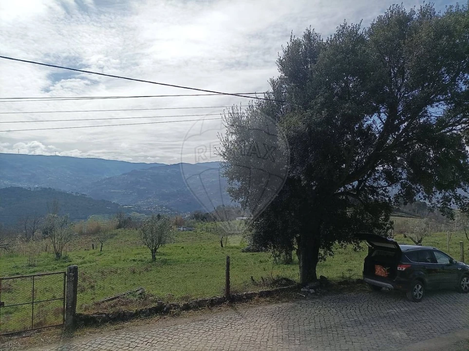 Terreno para Venda em Loivos da Ribeira e Tresouras Foto 14