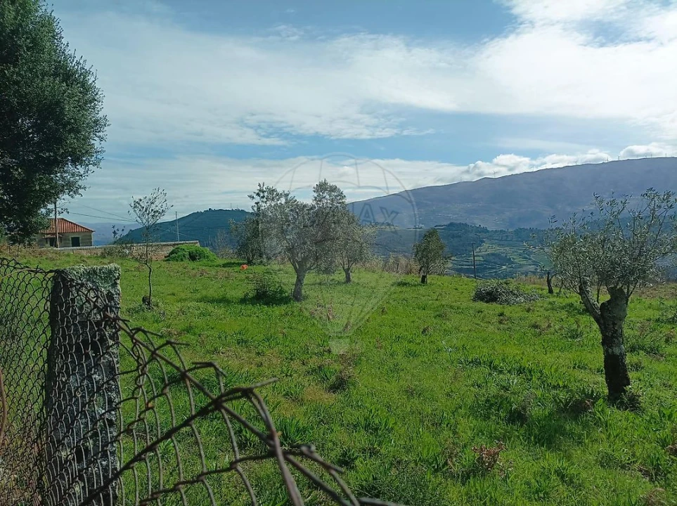 Terreno para Venda em Loivos da Ribeira e Tresouras Foto 8