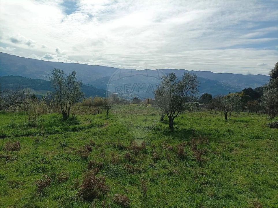 Terreno para Venda em Loivos da Ribeira e Tresouras Foto 12
