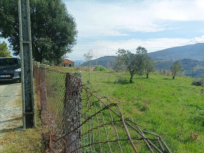 Terreno para Venda em Loivos da Ribeira e Tresouras Foto 11