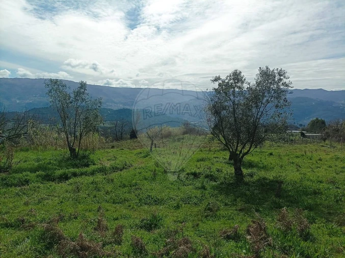 Terreno para Venda em Loivos da Ribeira e Tresouras Foto 4