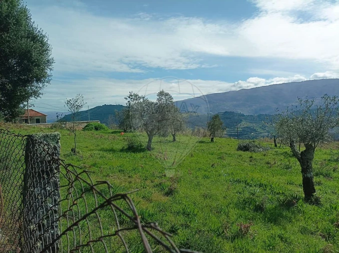 Terreno para Venda em Loivos da Ribeira e Tresouras Foto 8