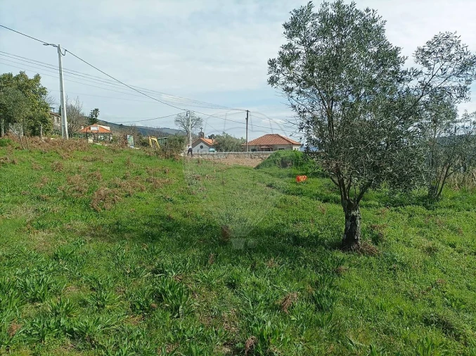 Terreno para Venda em Loivos da Ribeira e Tresouras Foto 15