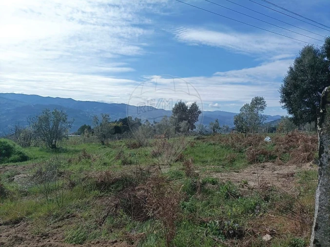 Terreno para Venda em Loivos da Ribeira e Tresouras Foto 7