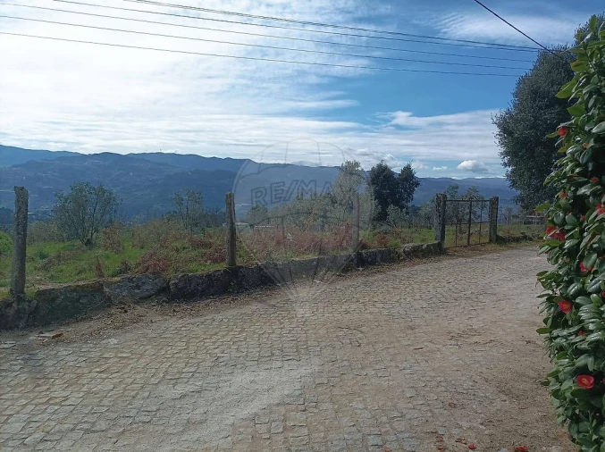 Terreno para Venda em Loivos da Ribeira e Tresouras Foto 13