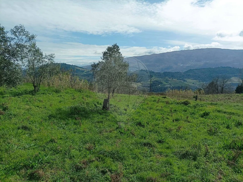 Terreno para Venda em Loivos da Ribeira e Tresouras Foto 5