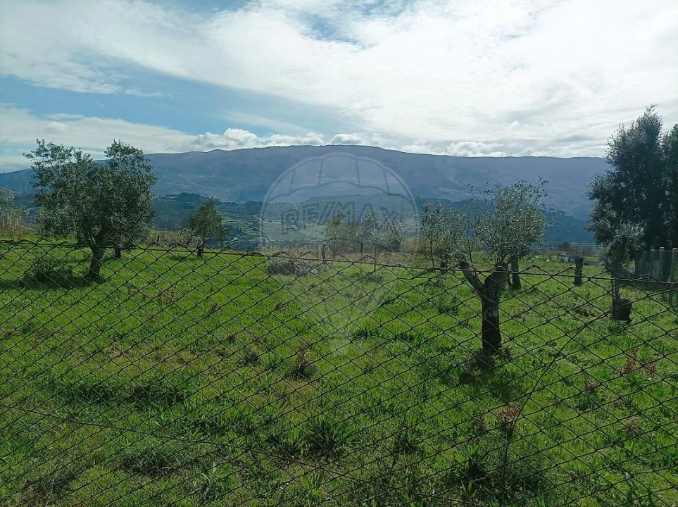 Terreno para Venda em Loivos da Ribeira e Tresouras Foto 2