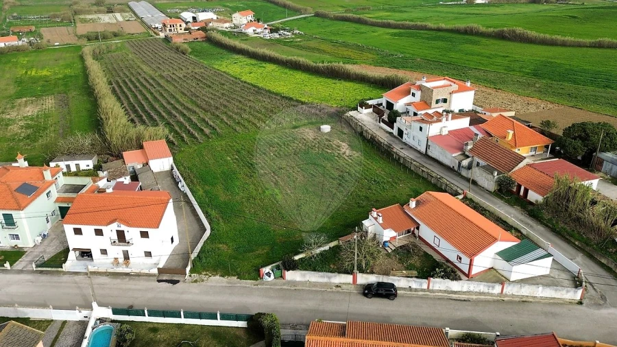 Terreno para Venda em São Pedro da Cadeira Foto 4