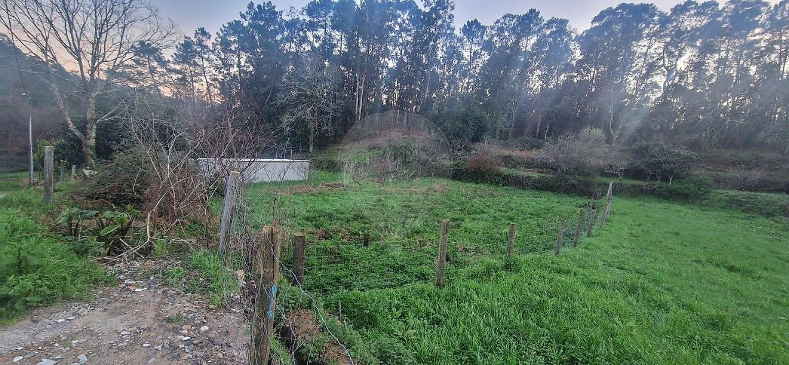 Terreno para Venda em Nogueira do Cravo e Pindelo Foto 1