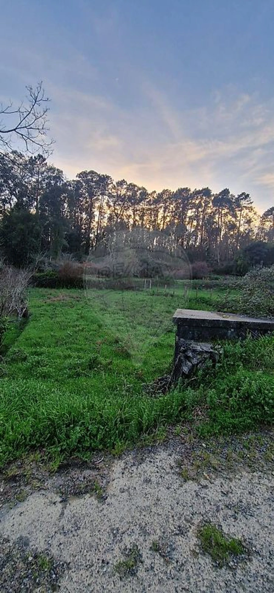 Terreno para Venda em Nogueira do Cravo e Pindelo Foto 4