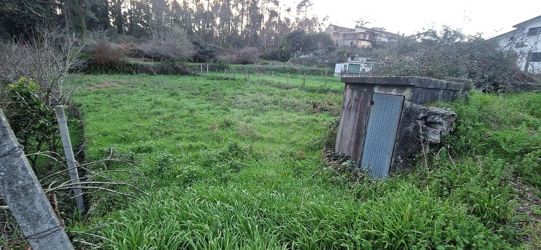 Terreno para Venda em Nogueira do Cravo e Pindelo Foto 3