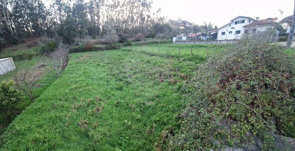 Terreno para Venda em Nogueira do Cravo e Pindelo Foto 2