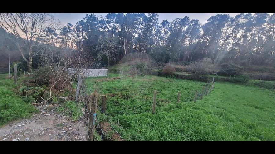 Terreno para Venda em Nogueira do Cravo e Pindelo