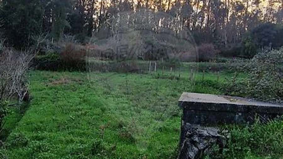 Terreno para Venda em Nogueira do Cravo e Pindelo