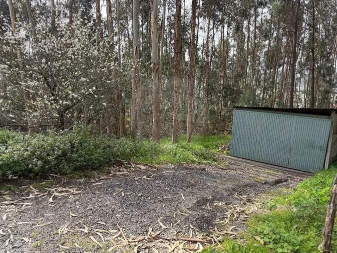 Armazém para Venda em Macieira de Cambra