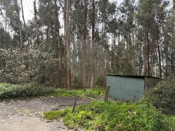 Armazém para Venda em Macieira de Cambra Foto 4