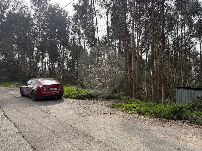 Armazém para Venda em Macieira de Cambra Foto 3