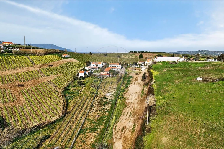 Moradia T3 para Venda em Ribafria e Pereiro de Palhacana Foto 43