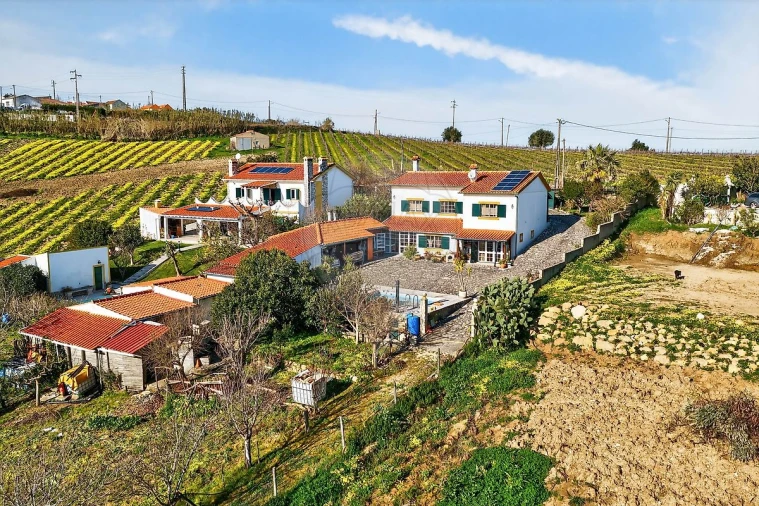 Moradia T3 para Venda em Ribafria e Pereiro de Palhacana Foto 39