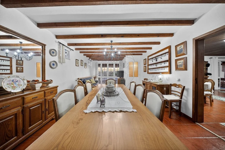 Moradia T3 para Venda em Ribafria e Pereiro de Palhacana Foto 15