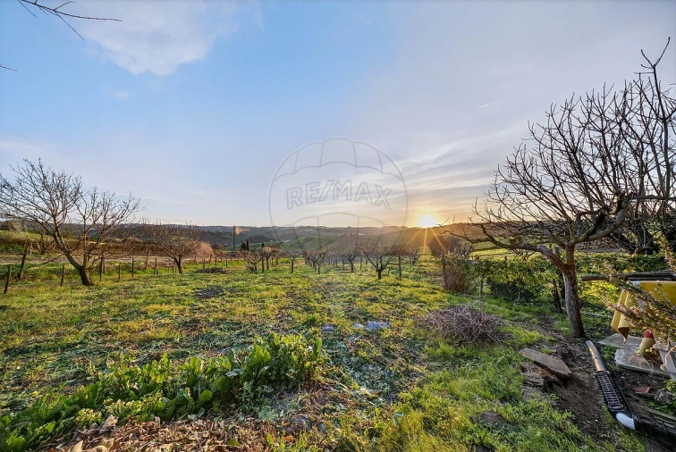 Moradia T3 para Venda em Ribafria e Pereiro de Palhacana Foto 46