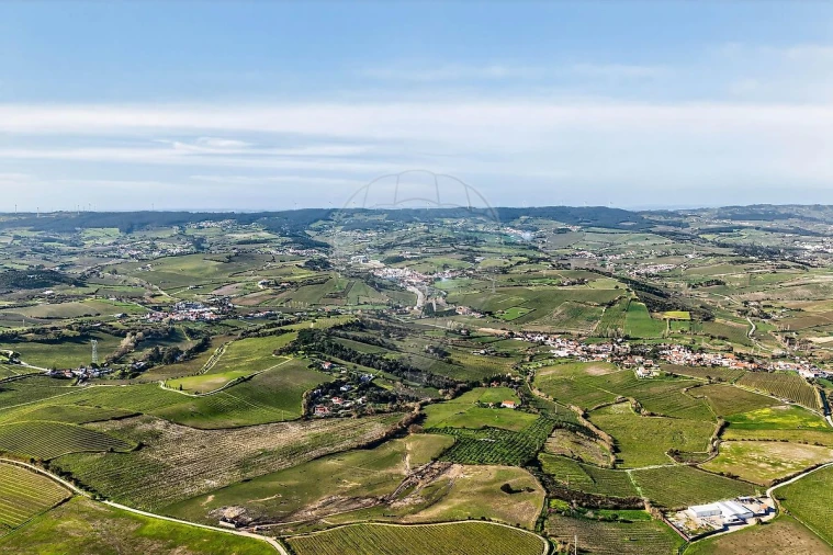 Moradia T3 para Venda em Ribafria e Pereiro de Palhacana Foto 45
