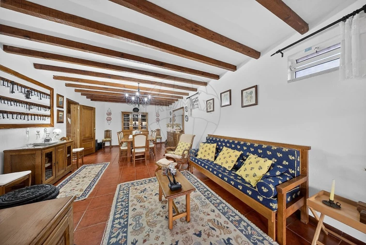 Moradia T3 para Venda em Ribafria e Pereiro de Palhacana Foto 16