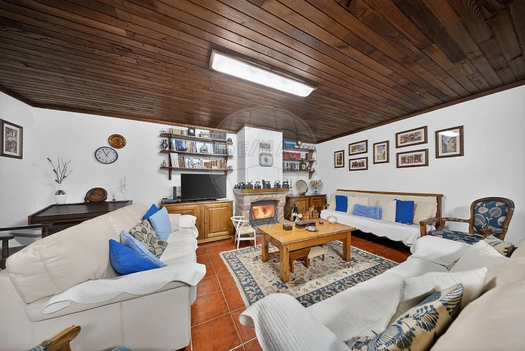 Moradia T3 para Venda em Ribafria e Pereiro de Palhacana Foto 9