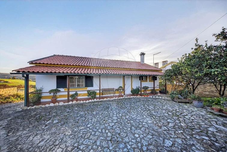 Moradia T3 para Venda em Ribafria e Pereiro de Palhacana Foto 3