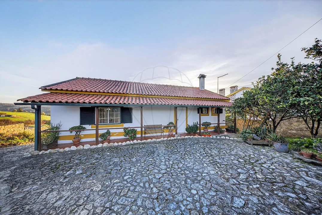 Moradia T3 para Venda em Ribafria e Pereiro de Palhacana Foto 3