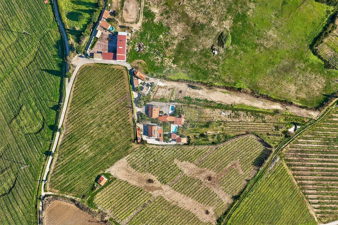 Moradia T3 para Venda em Ribafria e Pereiro de Palhacana Foto 42