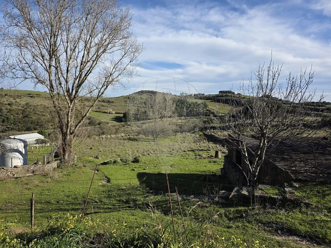 Terreno para Venda em Alhandra, São João dos Montes e Calhandriz Foto 4