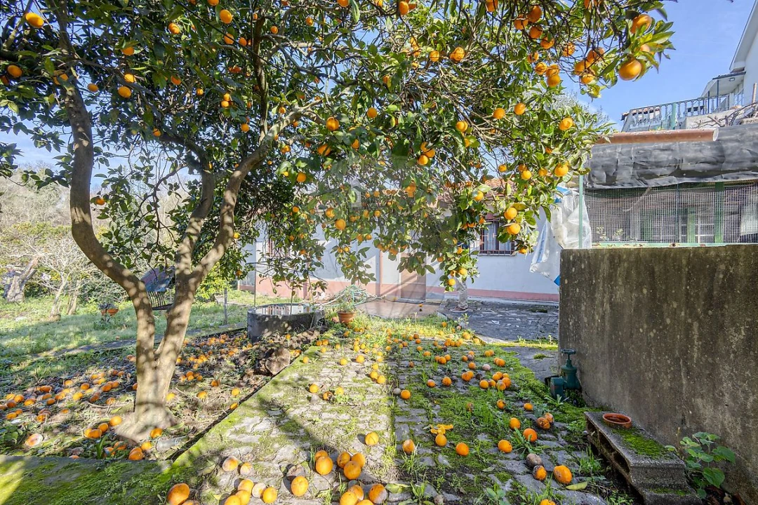Terreno para Venda em Mafamude e Vilar do Paraíso Foto 23