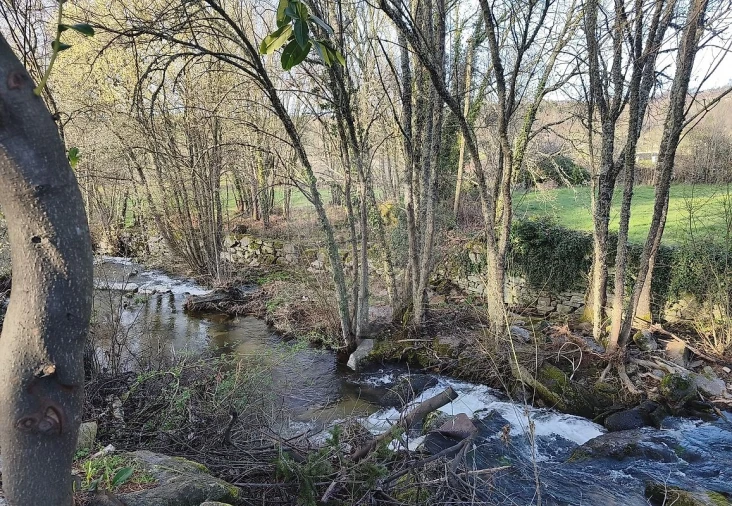 Moradia T4 para Venda em Castainço Foto 29