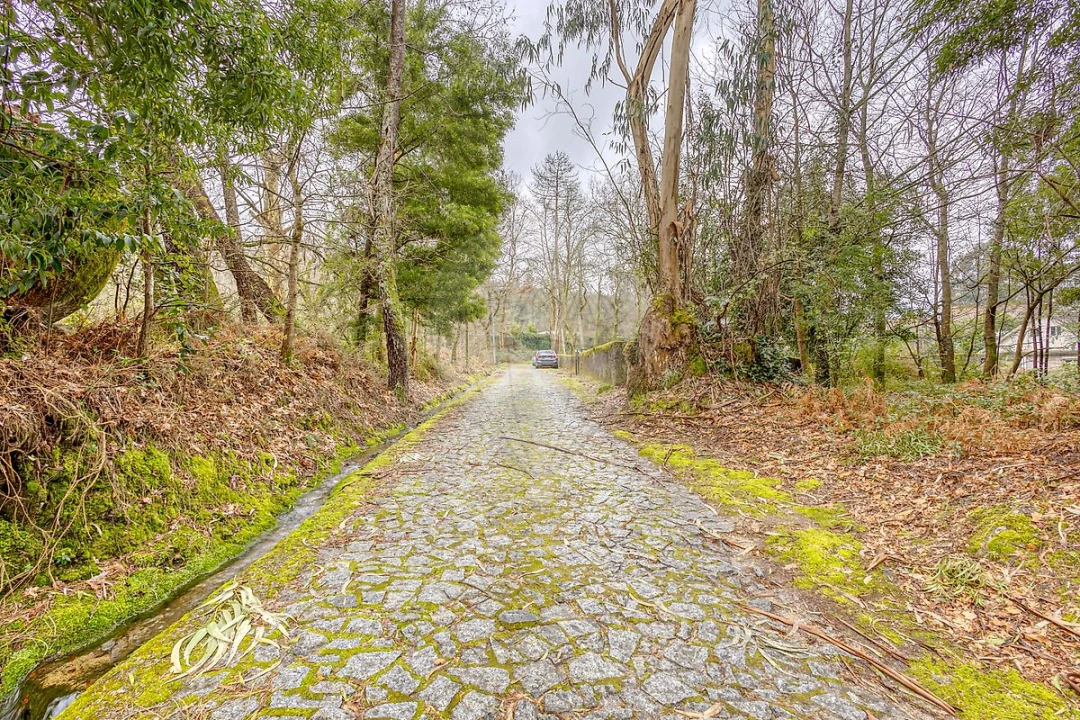 Moradia T3 para Venda em Souto Foto 13