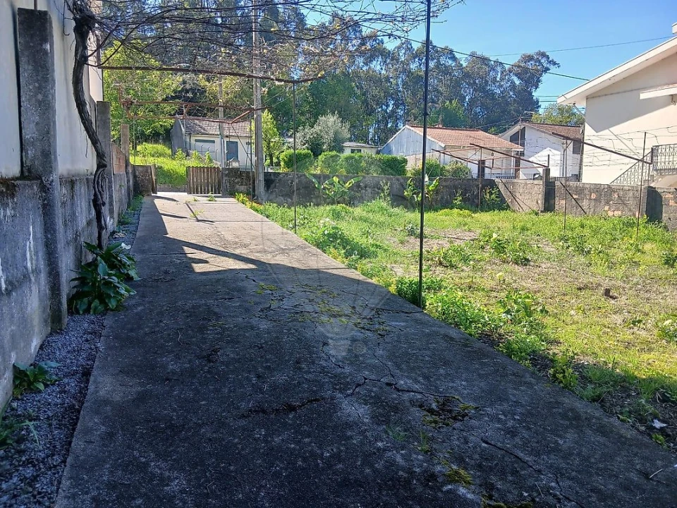 Terreno para Venda em Nogueira e Silva Escura Foto 6