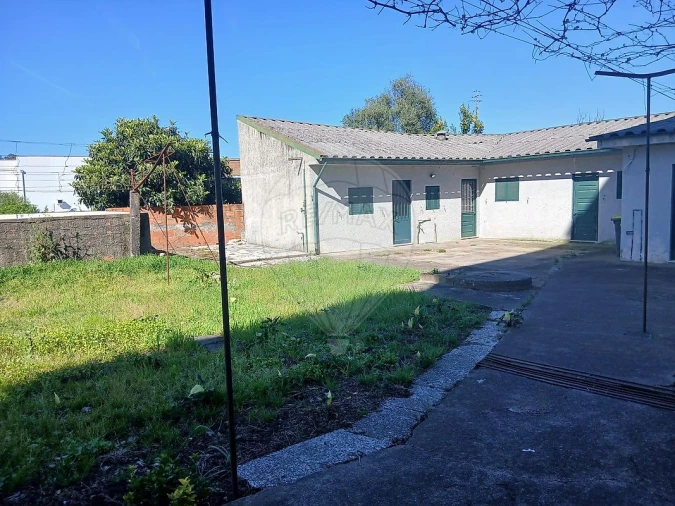 Terreno para Venda em Nogueira e Silva Escura Foto 5