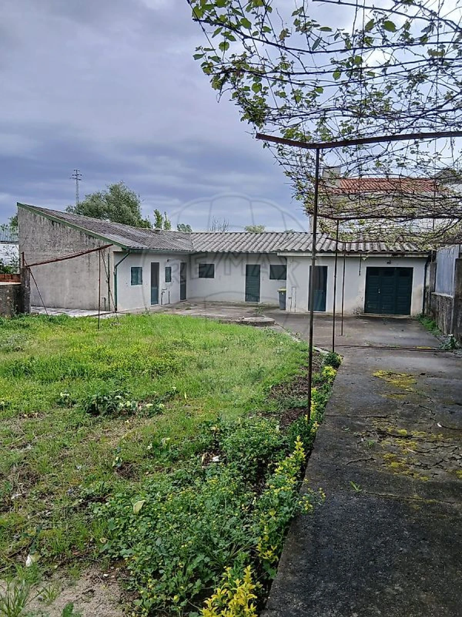 Terreno para Venda em Nogueira e Silva Escura Foto 8